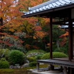 紅葉を京都で見れる時期はいつ？見頃、おすすめスポットは？