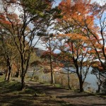 吉野山の紅葉の時期やアクセス、駐車場、混雑具合の情報！