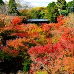 東福寺の紅葉の見頃はいつ？混雑具合やアクセスも！