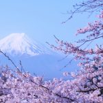 富士山と桜がきれいに写る撮影スポット！富士五湖周辺も！